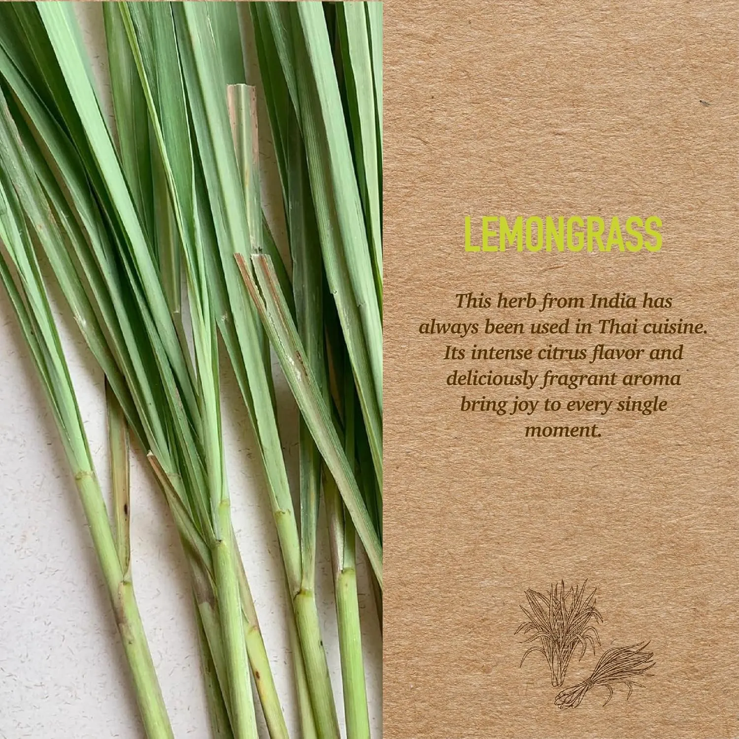| Home Fragrance Lemongrass | Botanical Soul | Spray for Pillow | Linen Mist and Frabic Spray | Aromatherapy | 11.1 Ounce | Odor Absorbers for Home | Safer Odor Relief |