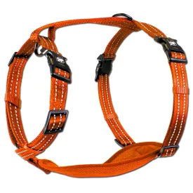 Alcott Adventure Reflective Dog Harness