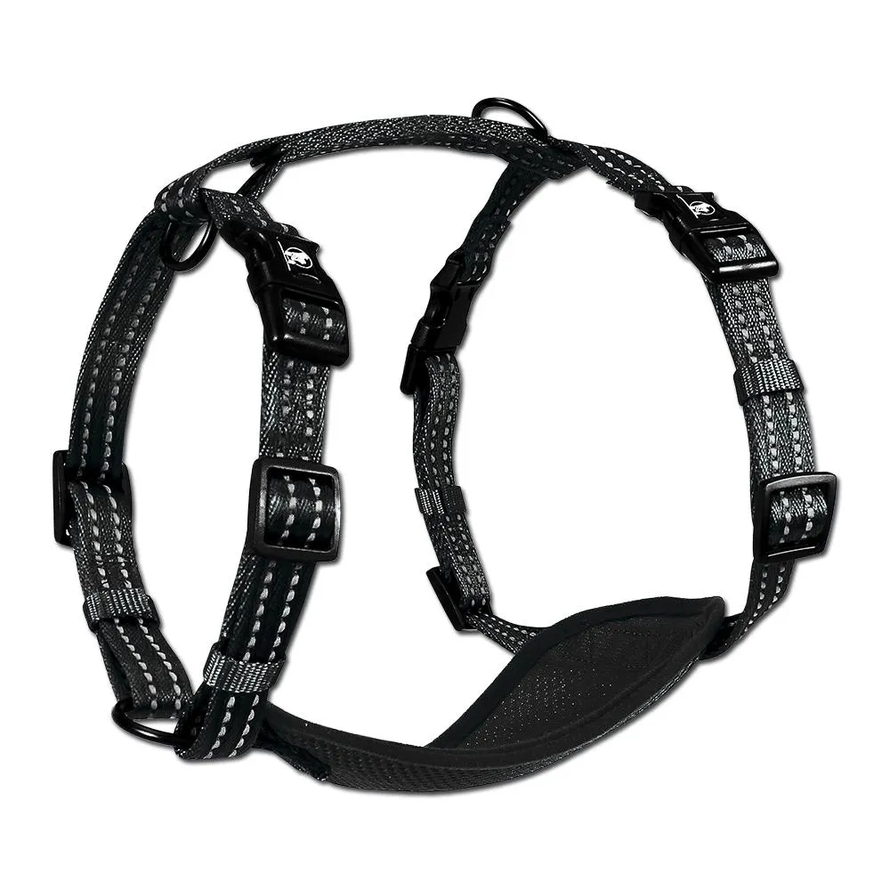 Alcott Adventure Reflective Dog Harness