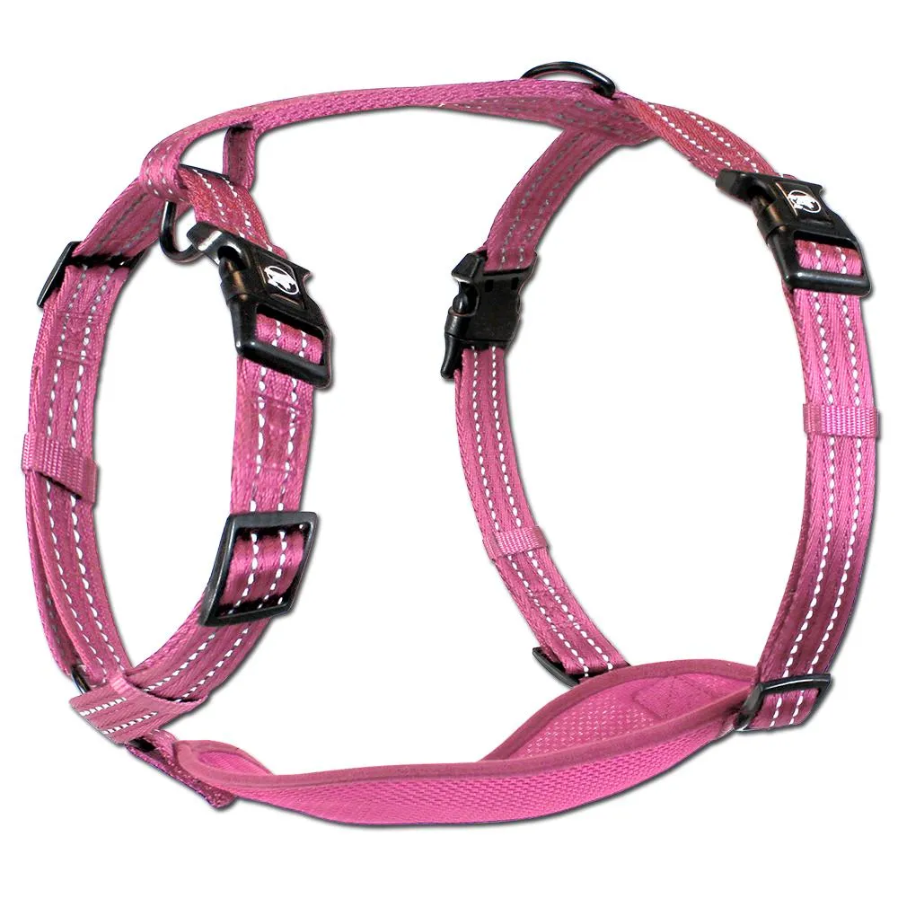 Alcott Adventure Reflective Dog Harness