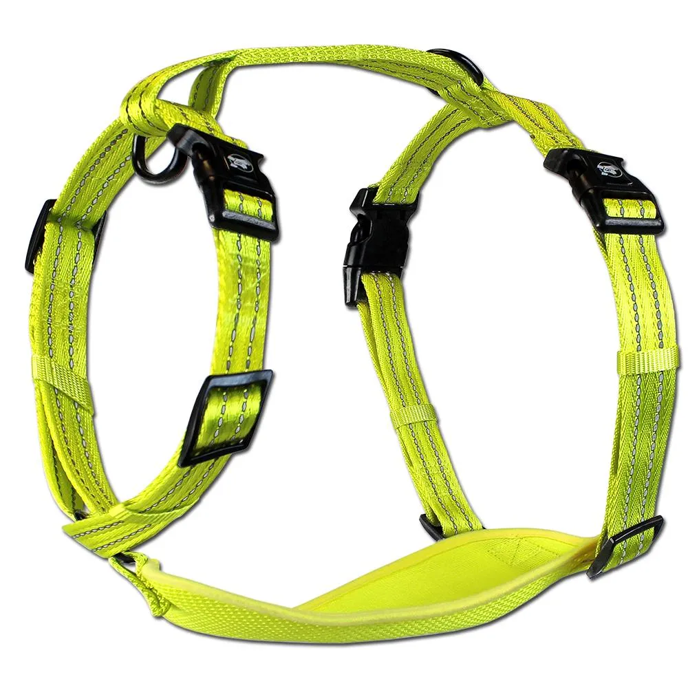 Alcott Adventure Reflective Dog Harness