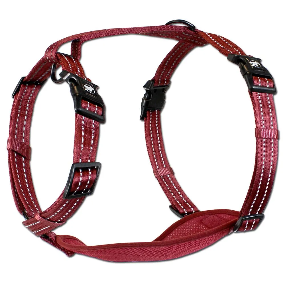 Alcott Adventure Reflective Dog Harness