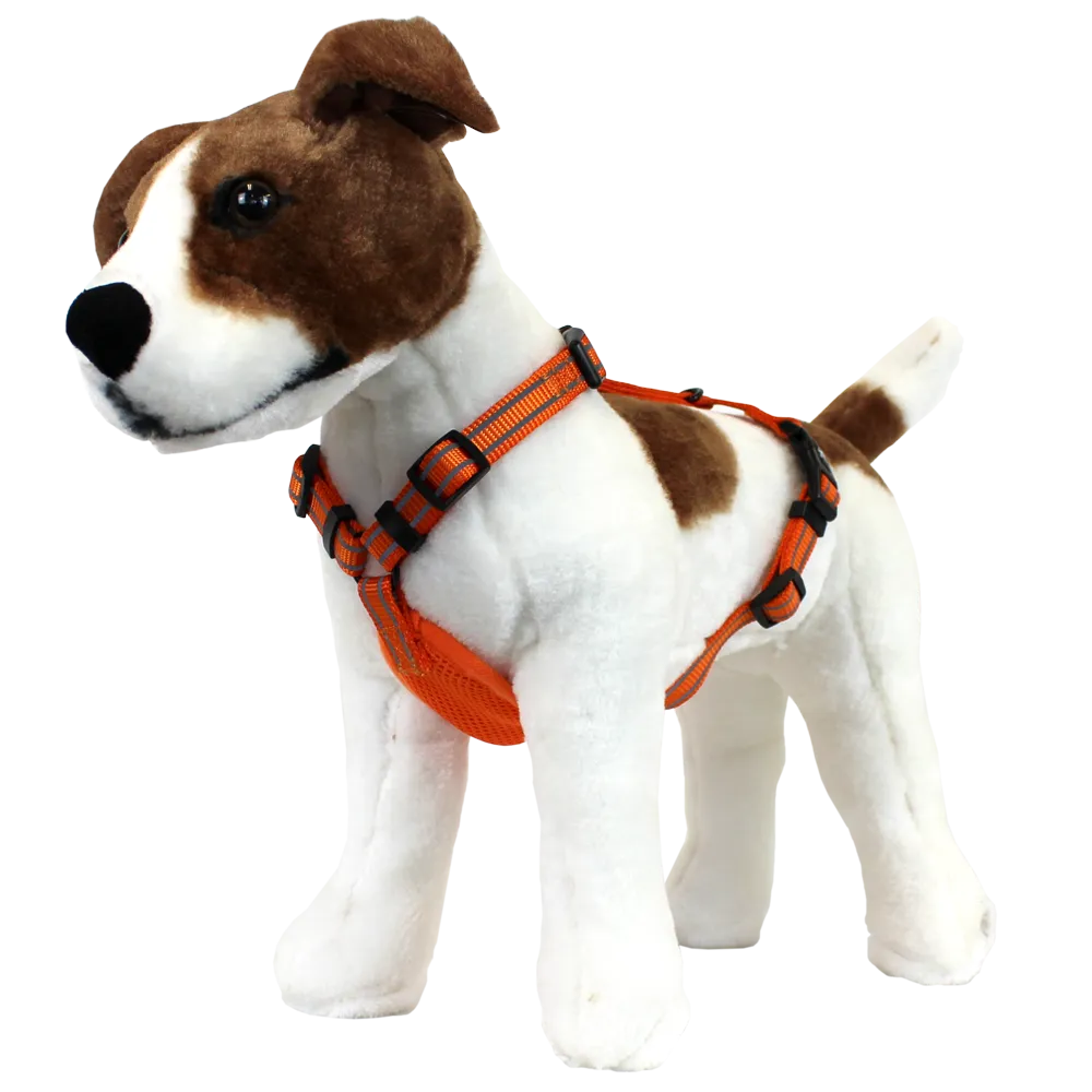Alcott Adventure Reflective Dog Harness
