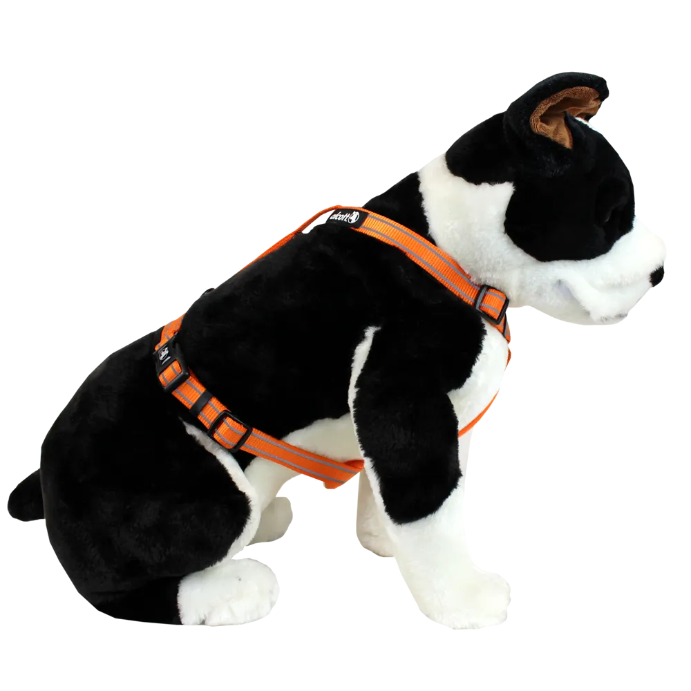 Alcott Adventure Reflective Dog Harness