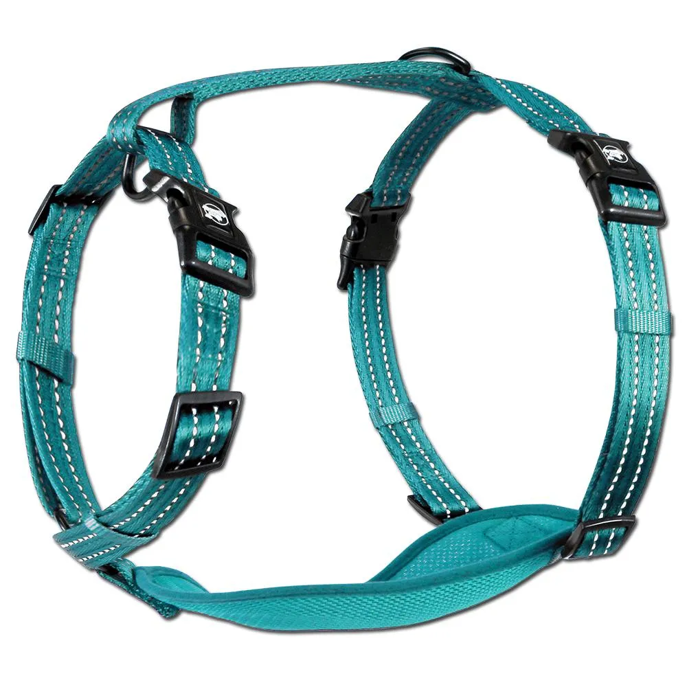 Alcott Adventure Reflective Dog Harness