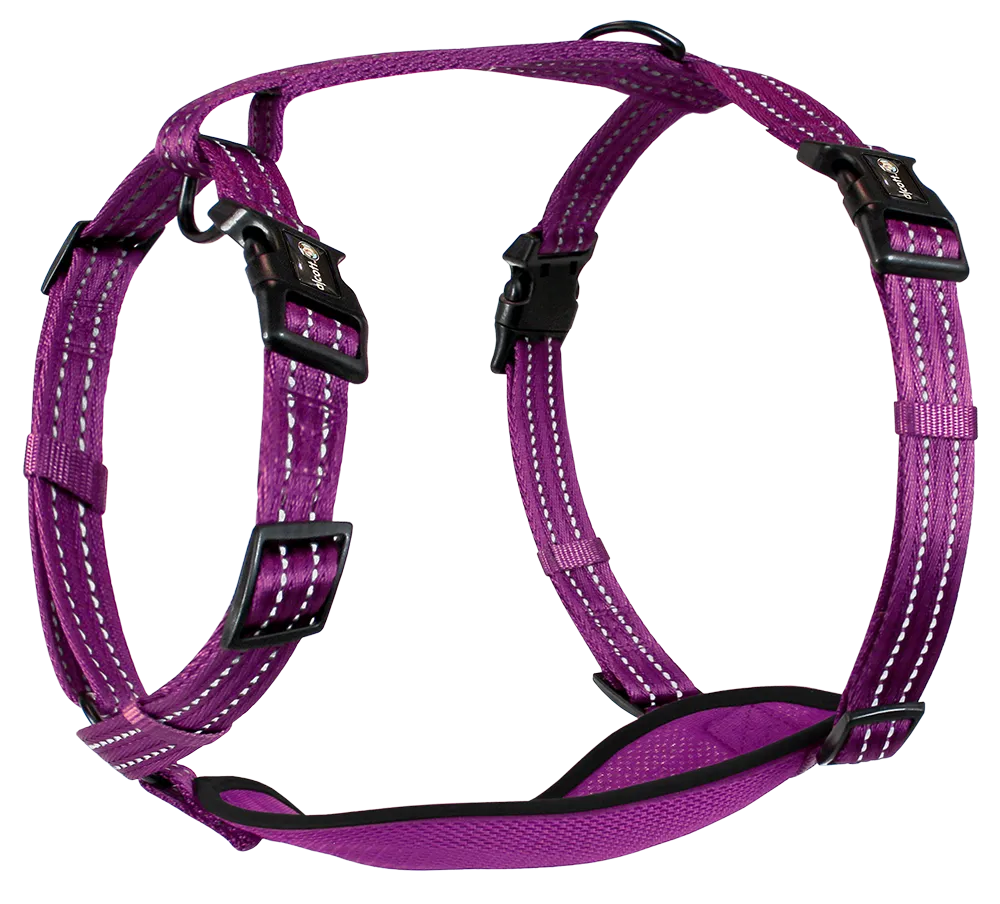 Alcott Adventure Reflective Dog Harness
