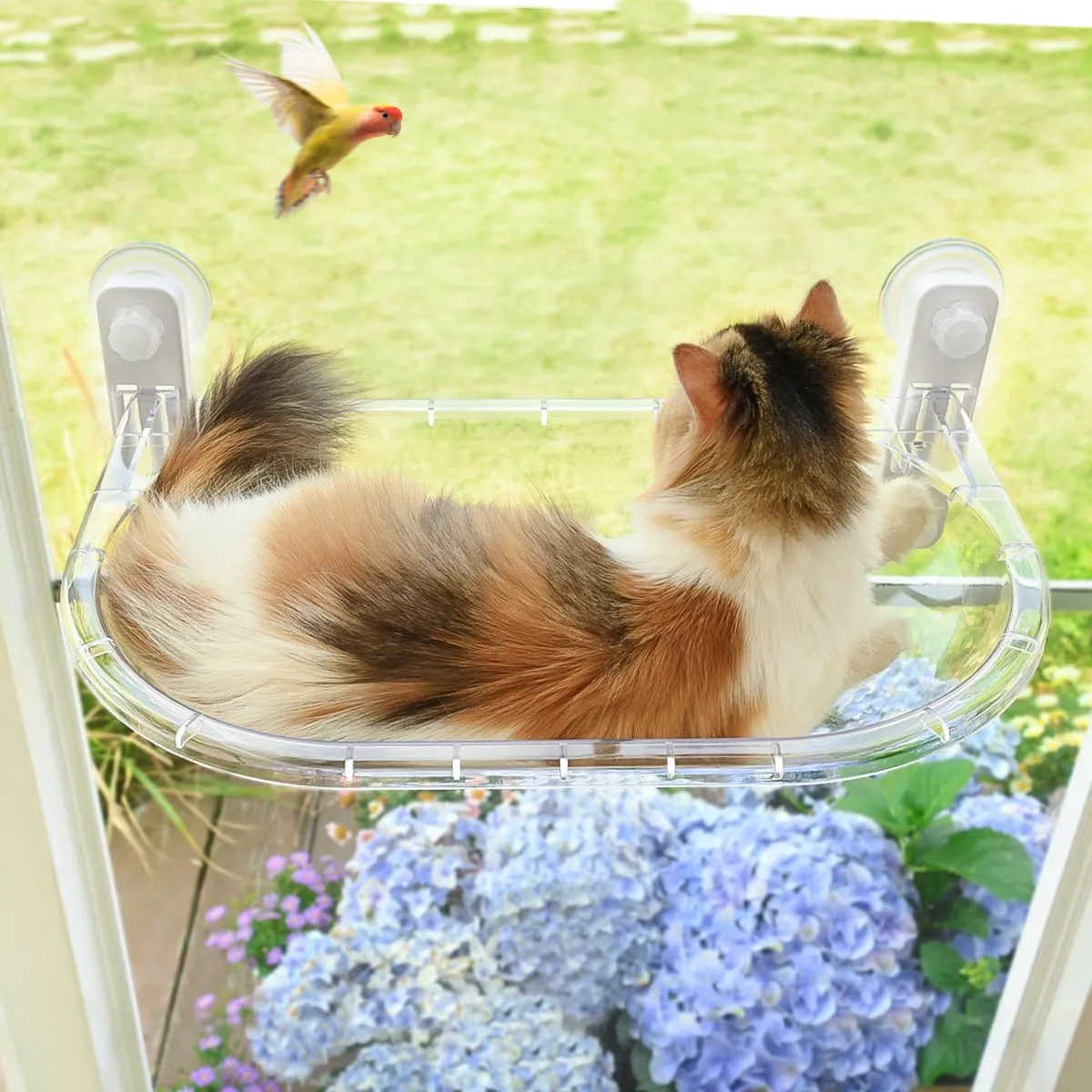 AMOSIJOY Transparent Cat Window Perch, Easy to Install & Clean Cat Hammock with 4 Enlarged Suction Cups for Large Cats, Panoramic Space Capsule Window Seat with Cozy Furry Mat