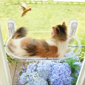 AMOSIJOY Transparent Cat Window Perch, Easy to Install & Clean Cat Hammock with 4 Enlarged Suction Cups for Large Cats, Panoramic Space Capsule Window Seat with Cozy Furry Mat