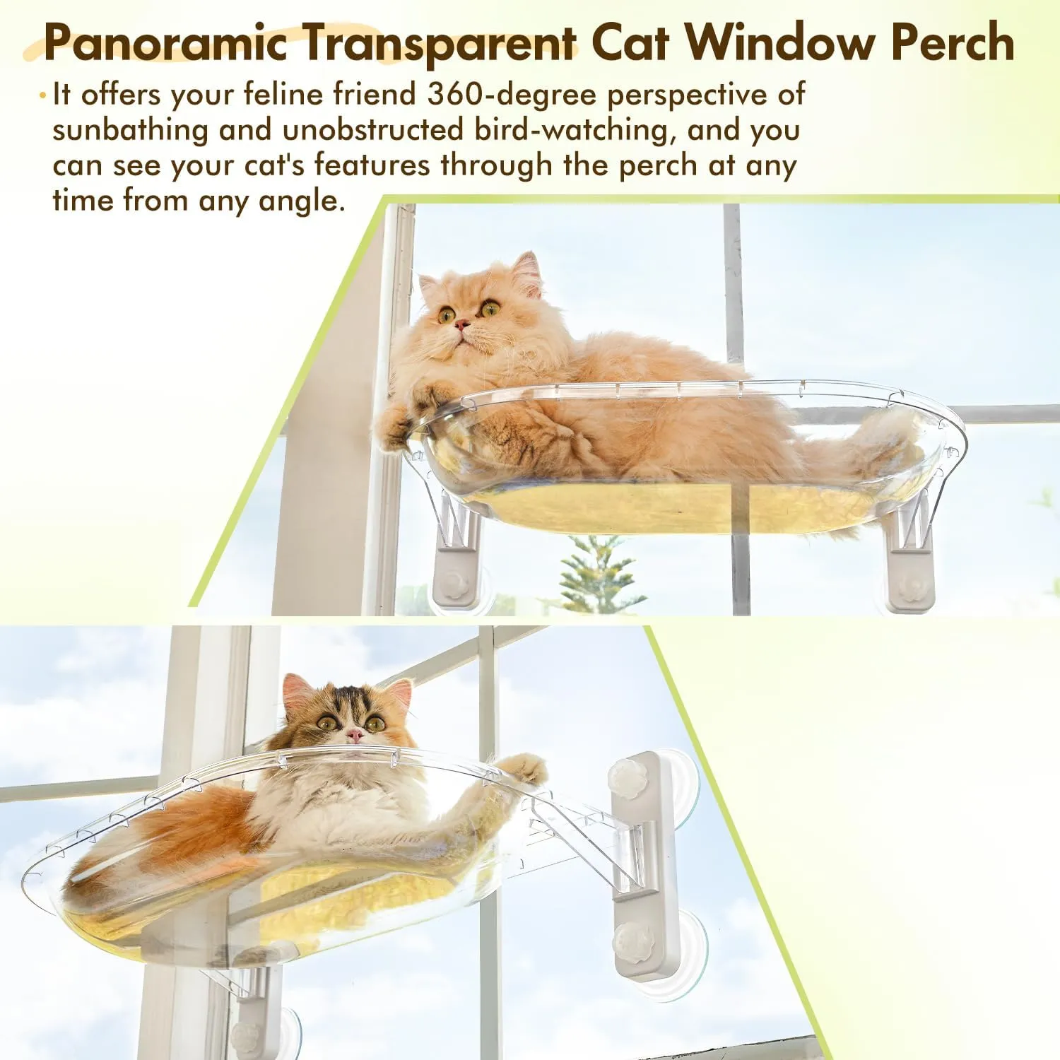AMOSIJOY Transparent Cat Window Perch, Easy to Install & Clean Cat Hammock with 4 Enlarged Suction Cups for Large Cats, Panoramic Space Capsule Window Seat with Cozy Furry Mat