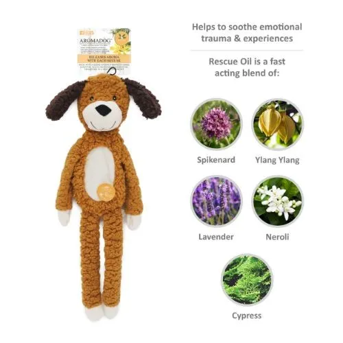 Aromadog Rescue Flattie Dog Toy