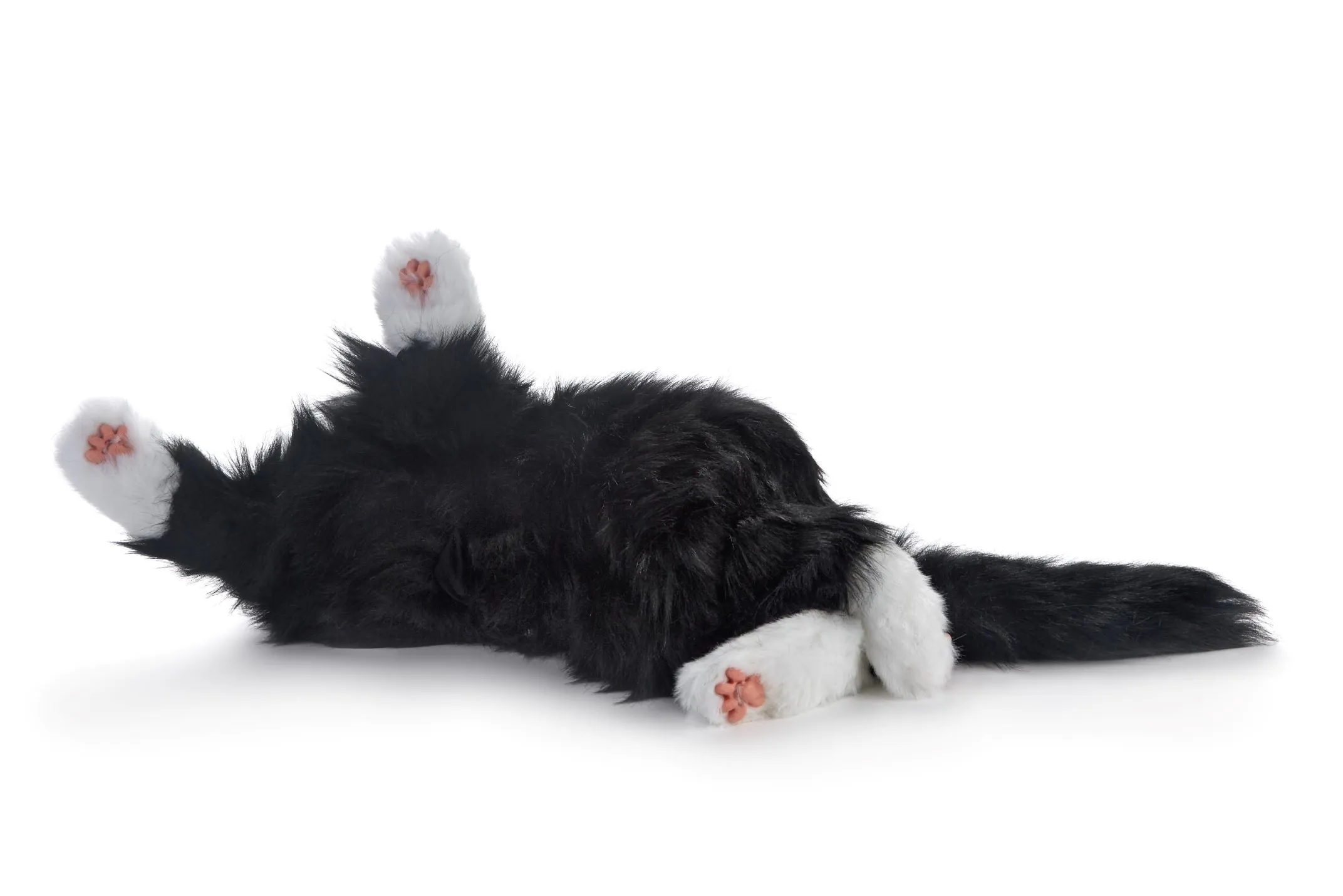 Black and white cat robotic companion pet - vat free