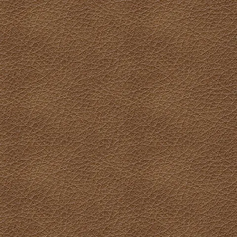 Bolsena Queen Sofa Sleeper