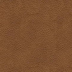 Carianna Queen Sofa Sleeper