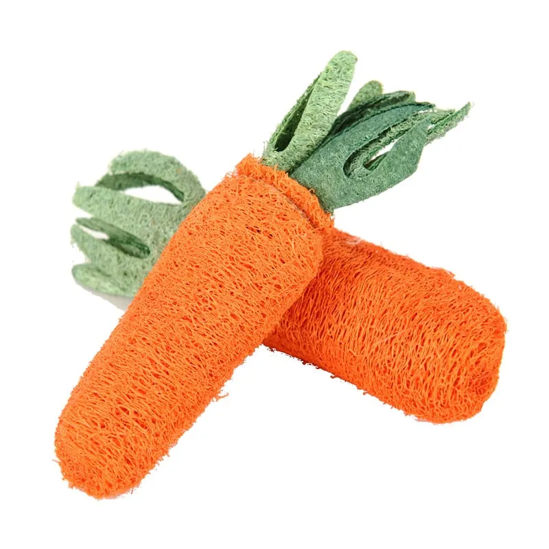 Carrot Shaped Toy