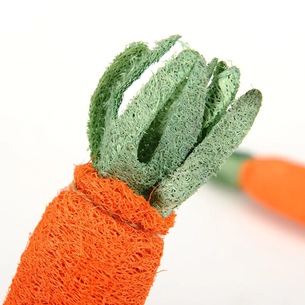 Carrot Shaped Toy