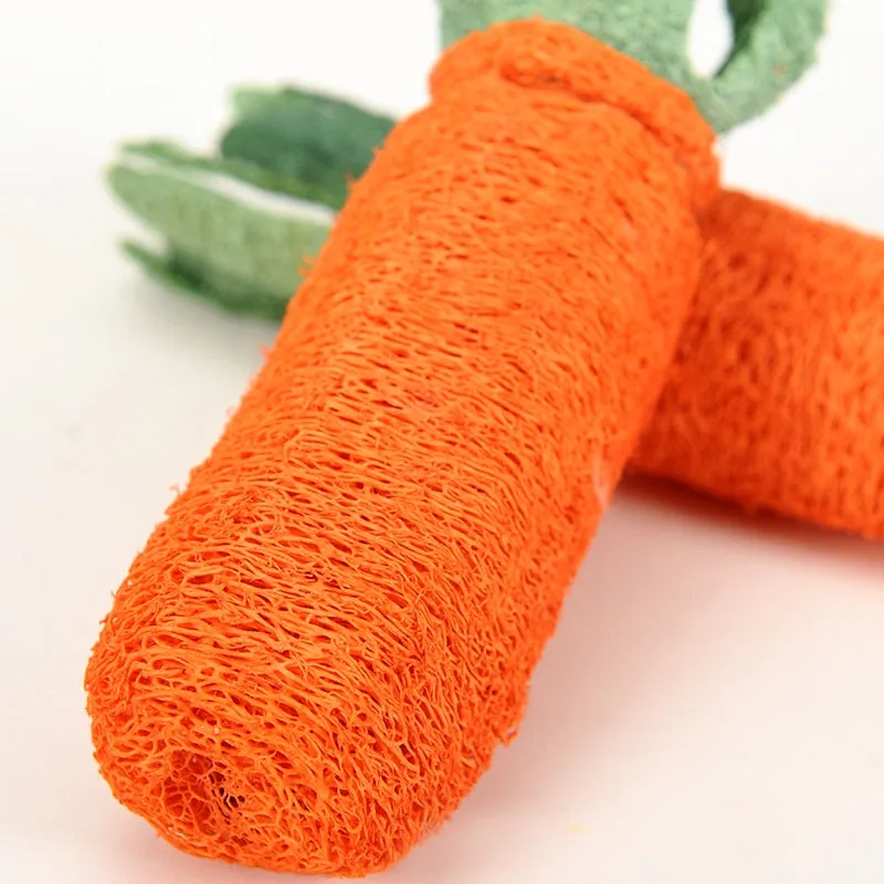 Carrot Shaped Toy