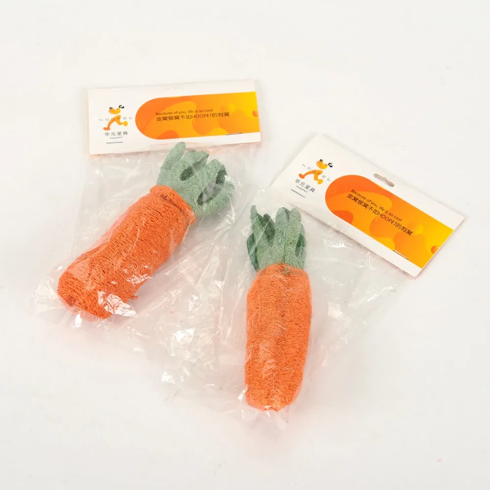 Carrot Shaped Toy