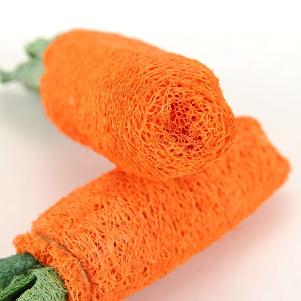 Carrot Shaped Toy
