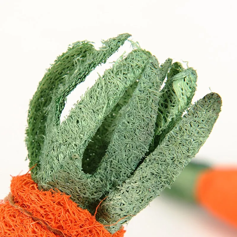 Carrot Shaped Toy