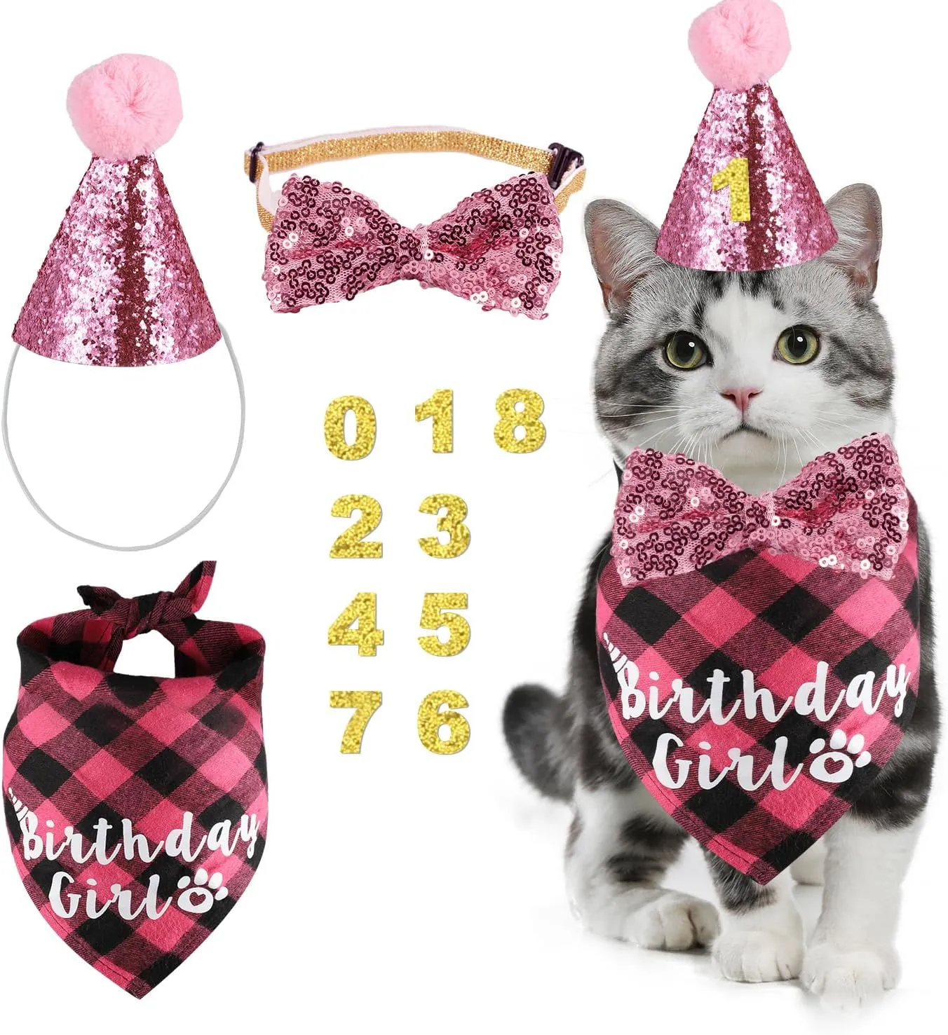Cat Birthday Accessories, Pink Plaid Bandana, Hat, Bow Tie & Numbers for Cat Themed Birthday Party Decor