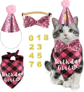 Cat Birthday Accessories, Pink Plaid Bandana, Hat, Bow Tie & Numbers for Cat Themed Birthday Party Decor