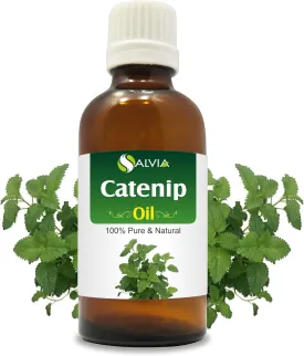 Catnip (Nepeta cataria) Essential Oil Pure & Natural Undiluted Uncut Oil | Best for Aromatherapy (30 ml (1.01 oz))