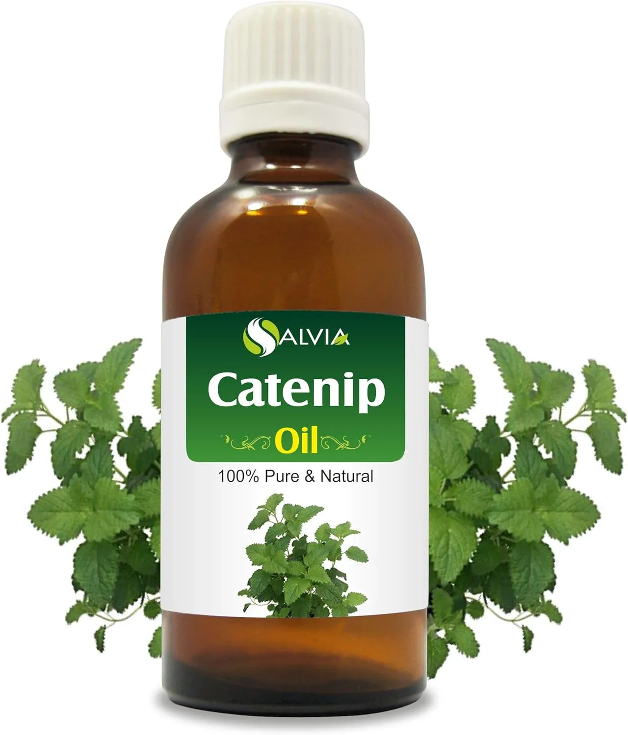 Catnip (Nepeta cataria) Essential Oil Pure & Natural Undiluted Uncut Oil | Best for Aromatherapy (30 ml (1.01 oz))