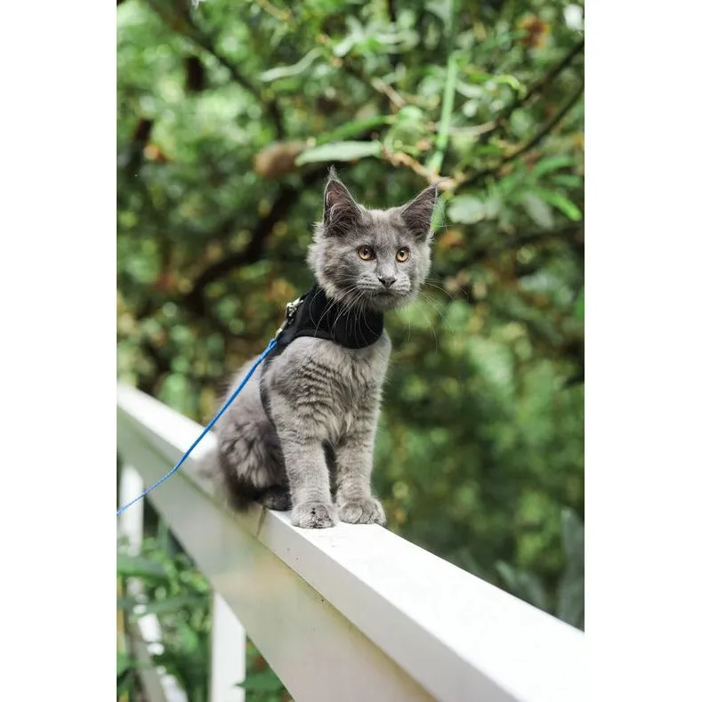 Catventure Escape Proof Harness