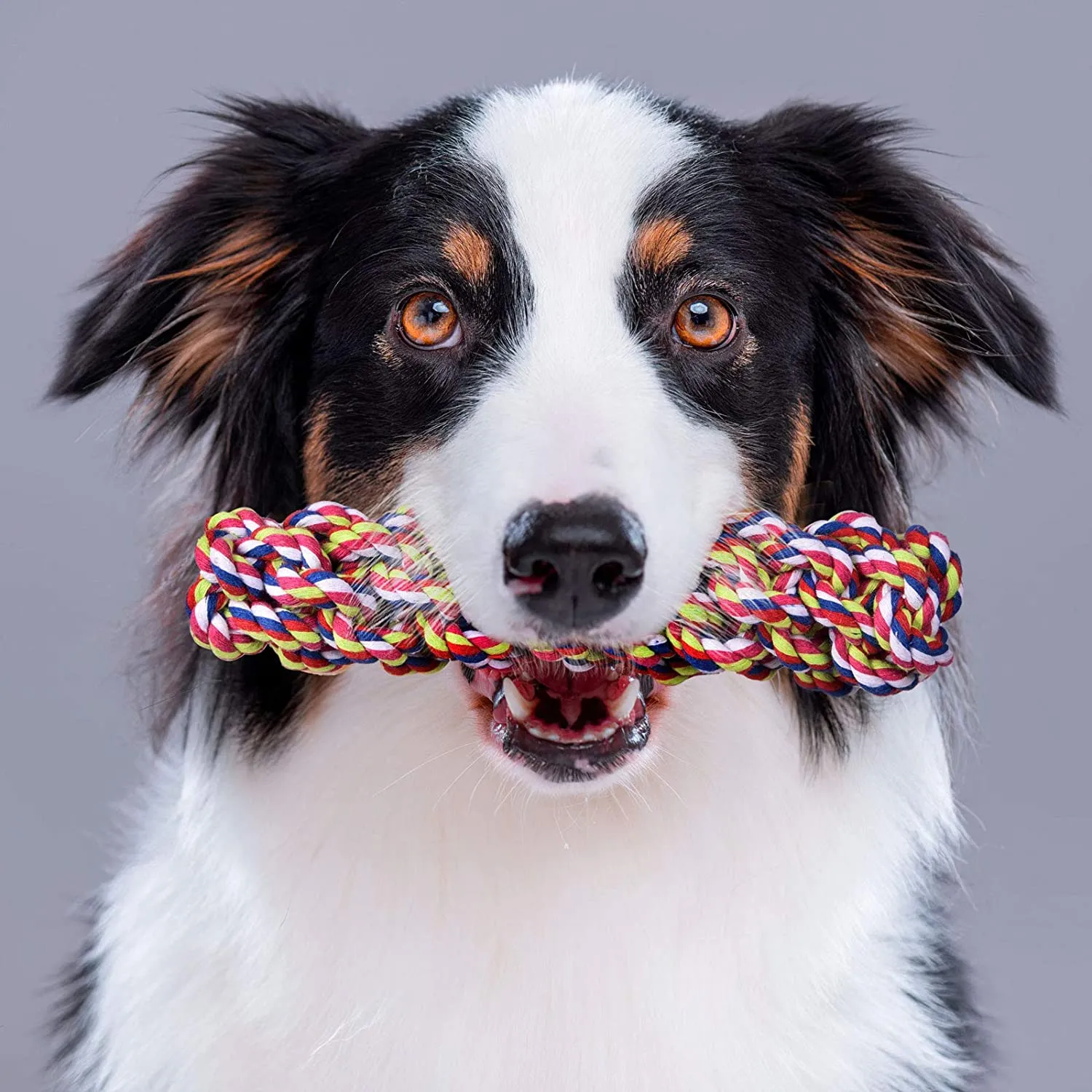 Chew Toy Set for Pets-Wholesale
