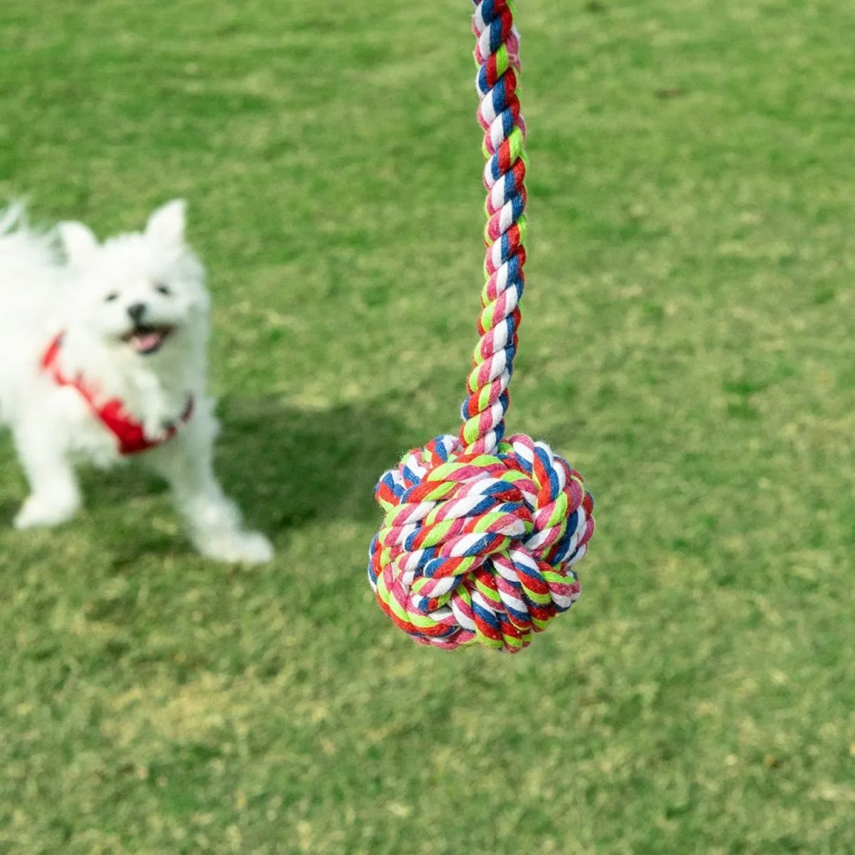 Chew Toy Set for Pets-Wholesale