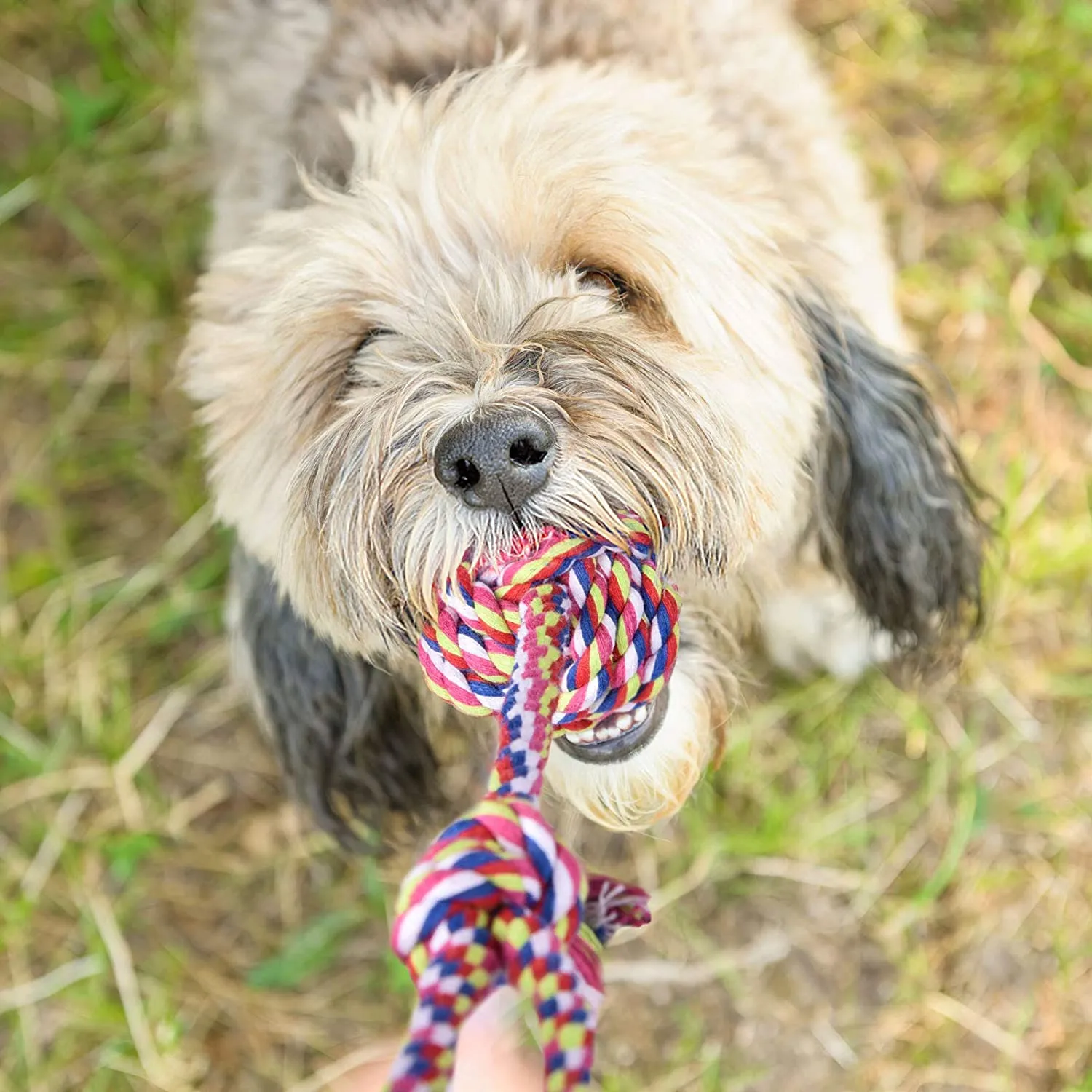 Chew Toy Set for Pets-Wholesale