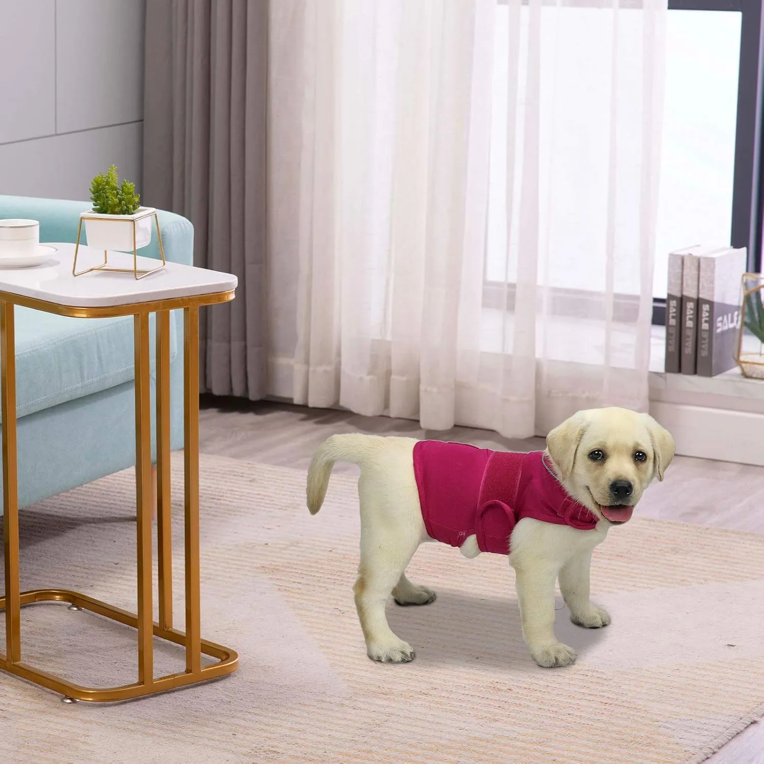 Comfort Dog Anxiety Relief Coat, Dog Anxiety Calming Vest Wrap for Thunderstorm,Travel,4th of July Fireworks,Vet Visits,Separation Anxiety Relief for Dogs (S, Rose)