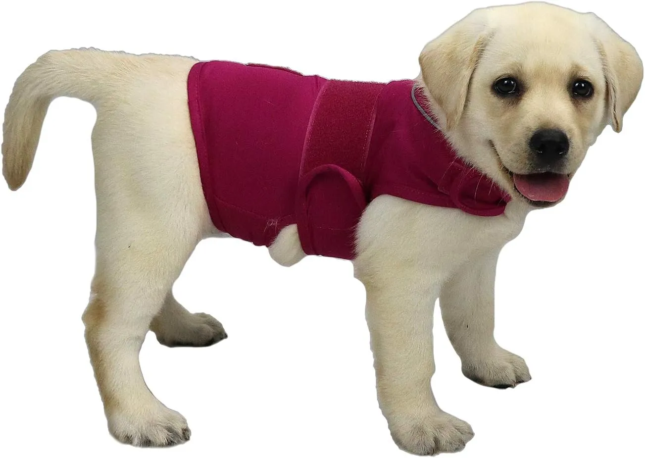 Comfort Dog Anxiety Relief Coat, Dog Anxiety Calming Vest Wrap for Thunderstorm,Travel,4th of July Fireworks,Vet Visits,Separation Anxiety Relief for Dogs (S, Rose)
