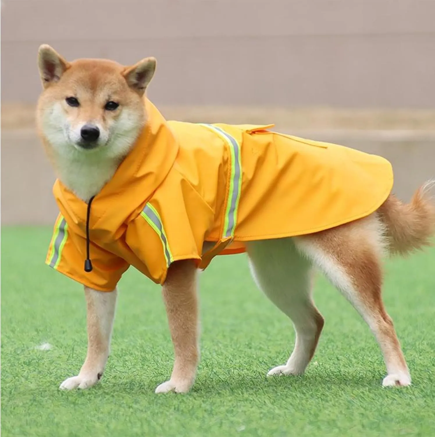 Dog Raincoat,Adjustable Drawstring Dog Rain Jacket for Large Medium Small Dogs,Waterproof Dog Hooded Poncho with Reflective Stripe (Yellow, X-Large)