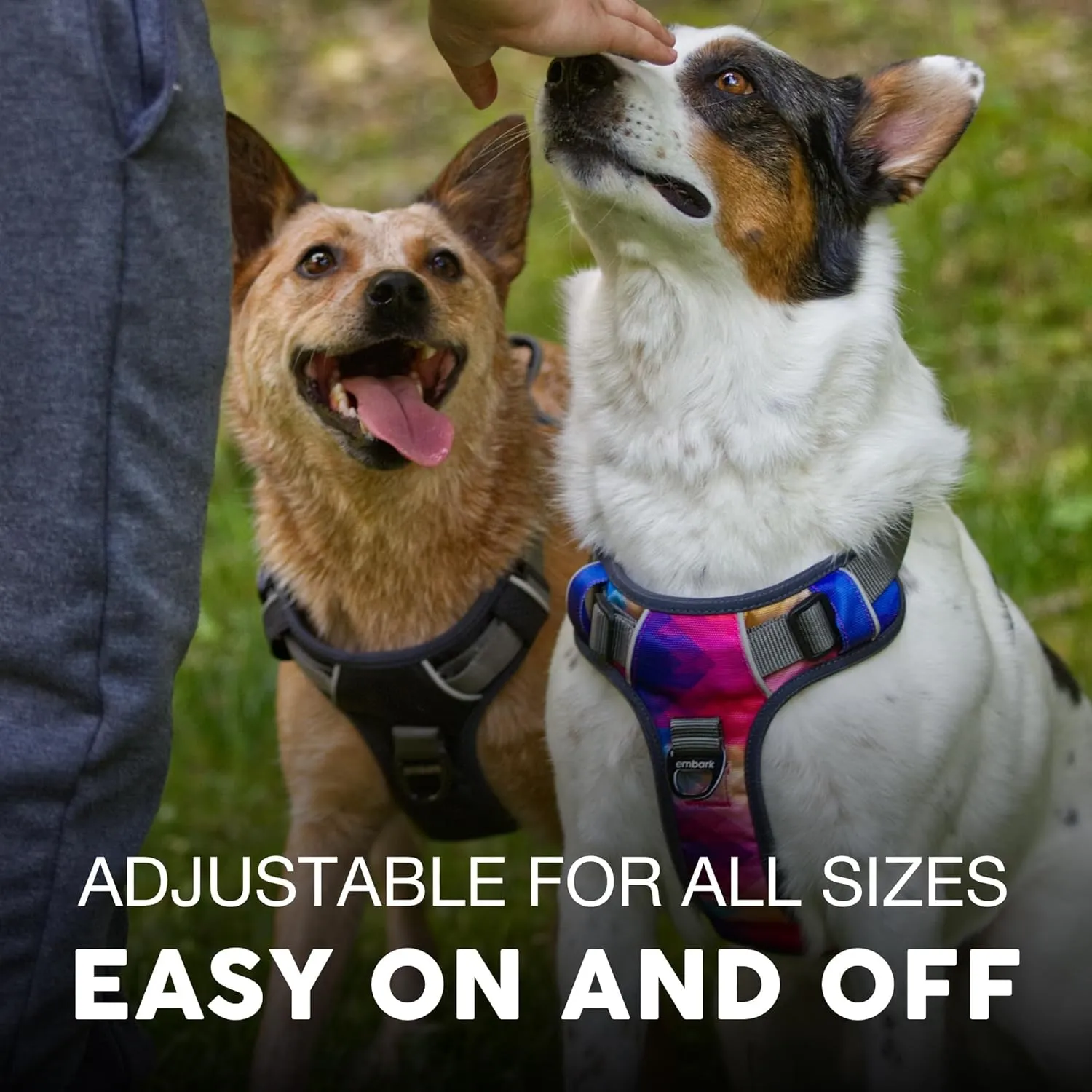Embark Adventure ,, - ,2 