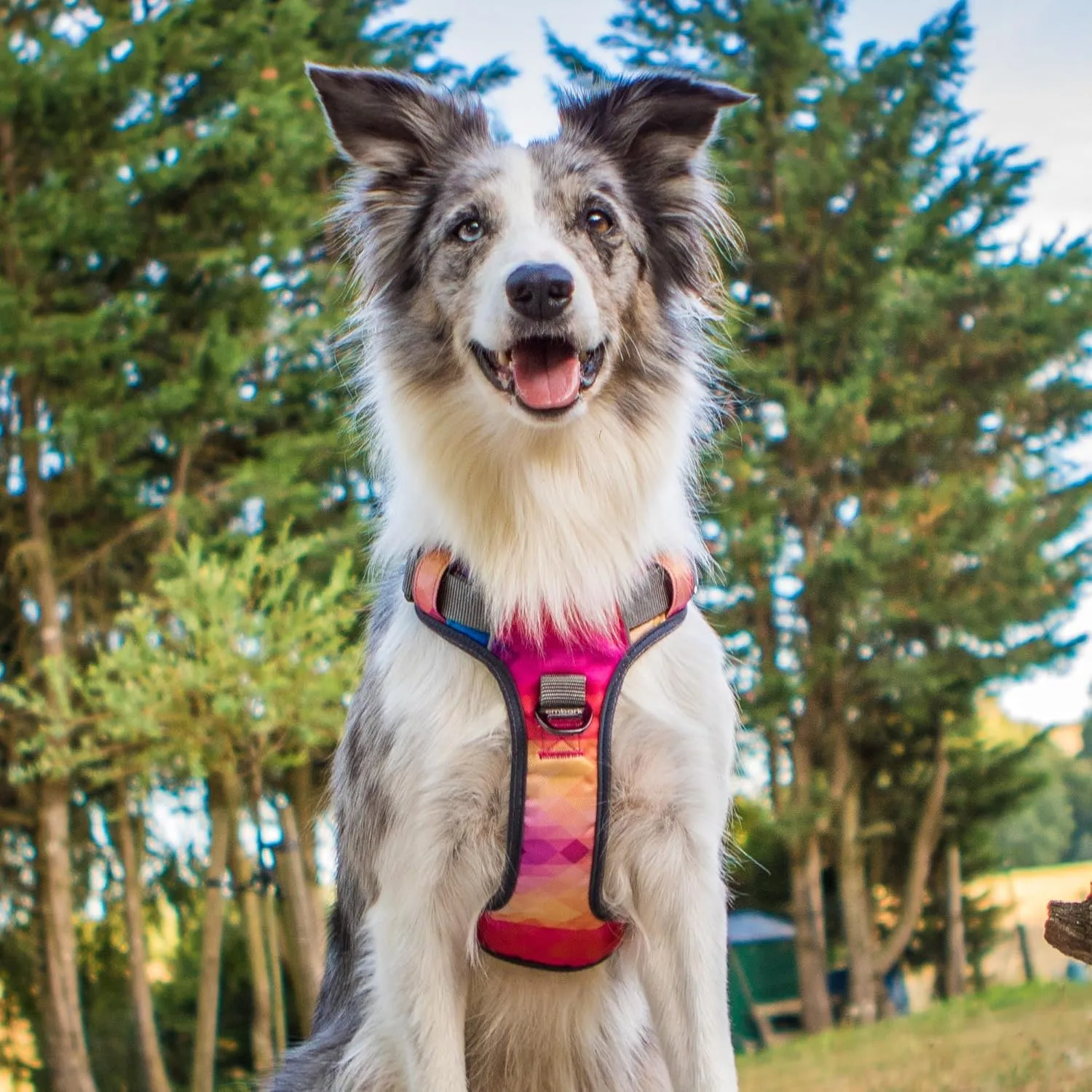 Embark Adventure ,, - ,2 