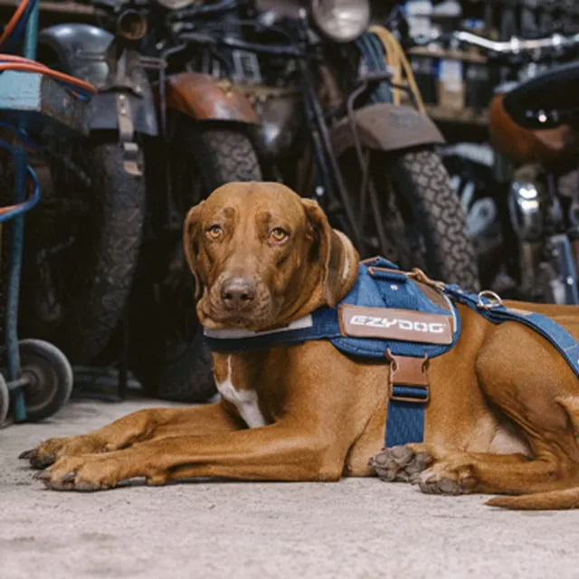 EzyDog Denim Convert Dog Harness XL