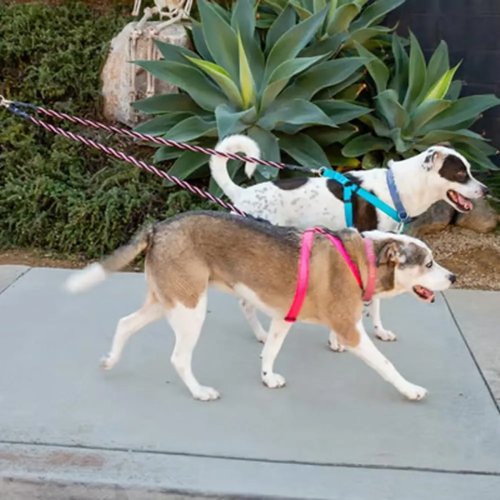 Gloryboom Double Bungee Dog Leash  Shock Absorbing 2-in-1 Leash with 360 Swivel, Padded Handles, No-Tangle for Small/Medium/Large Dogs (Pink)