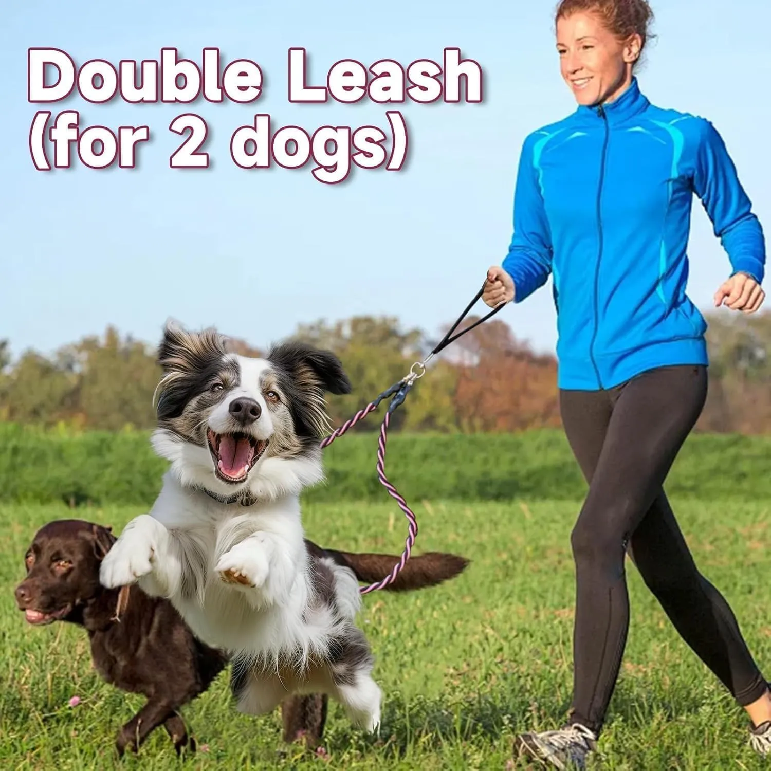 Gloryboom Double Bungee Dog Leash  Shock Absorbing 2-in-1 Leash with 360 Swivel, Padded Handles, No-Tangle for Small/Medium/Large Dogs (Pink)