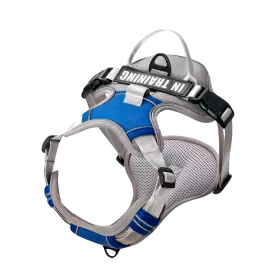 Gray Blue Custom Canine Dog Y Harness | 2TLE