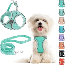 Green Small/Medium Dog Harness and Leash Set - Adjustable No Pull, Reflective, Breathable Mesh, Easy Walk Harness for Puppies, Cats, Hiking, Training