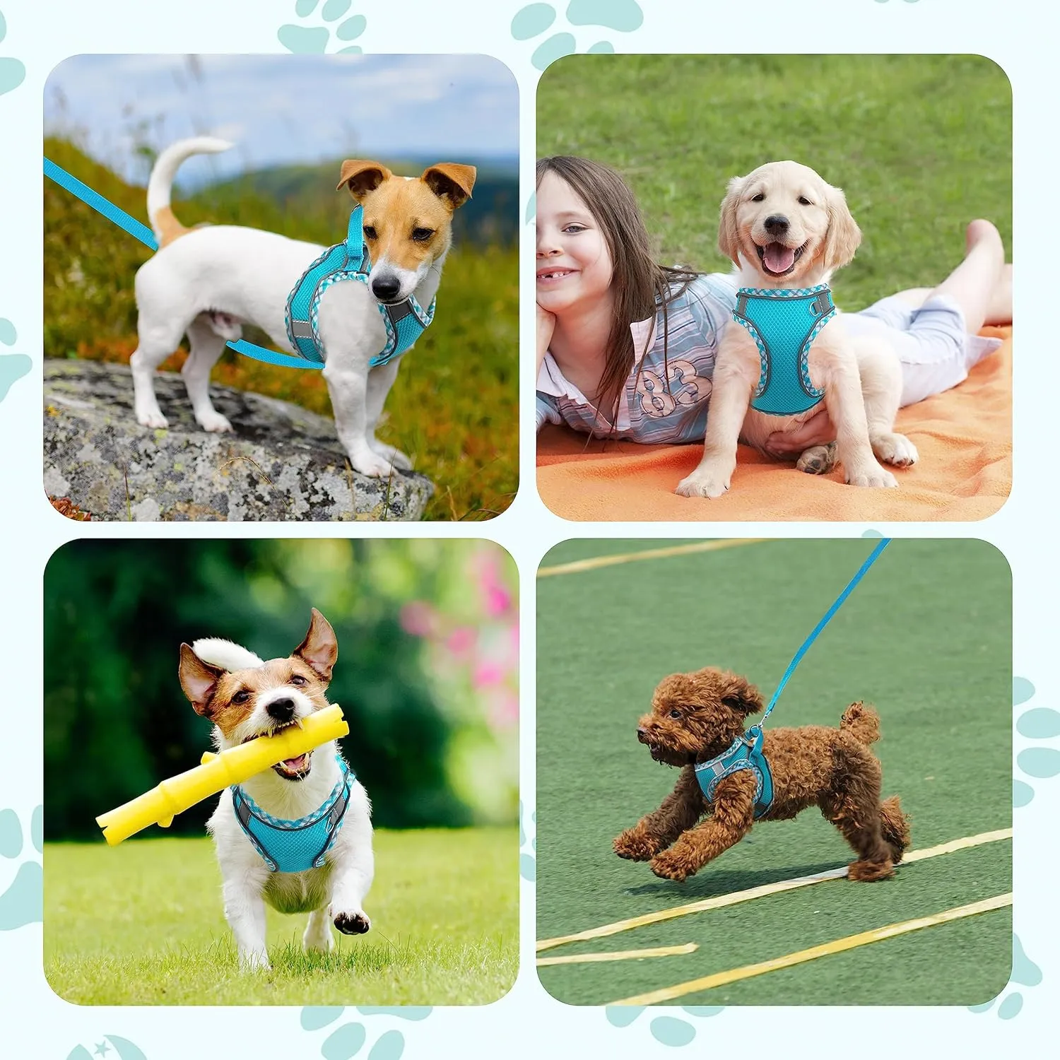 Green Small/Medium Dog Harness and Leash Set - Adjustable No Pull, Reflective, Breathable Mesh, Easy Walk Harness for Puppies, Cats, Hiking, Training