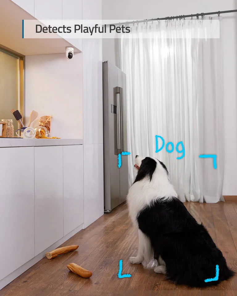 Indoor Cam E220
