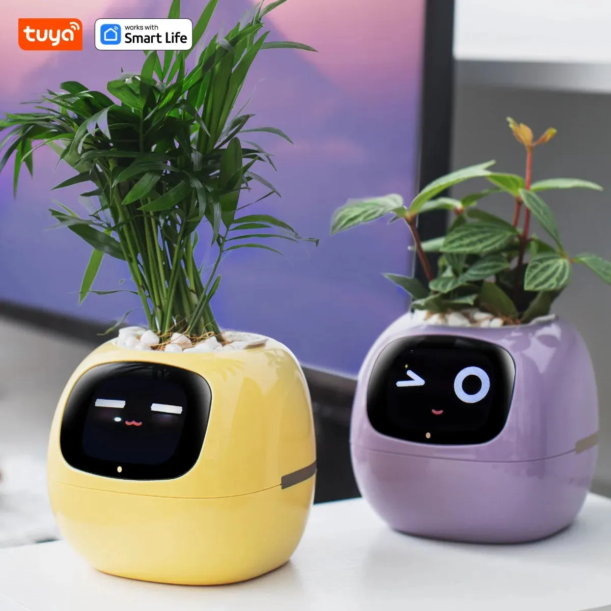 Ivy Smart Pet Planter