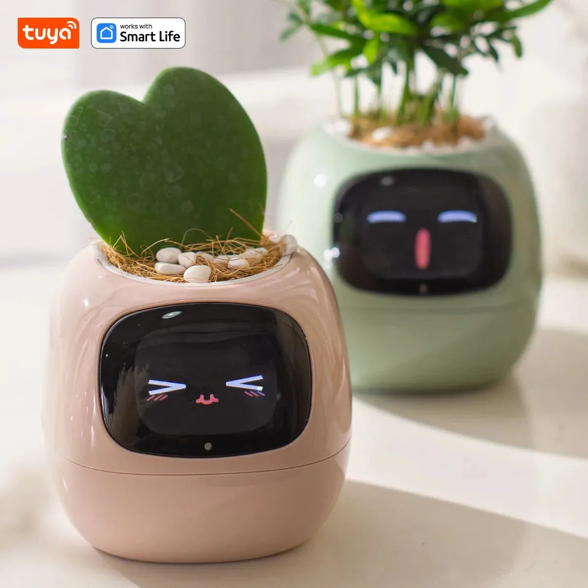 Ivy Smart Pet Planter