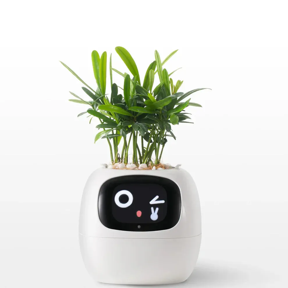 Ivy Smart Pet Planter