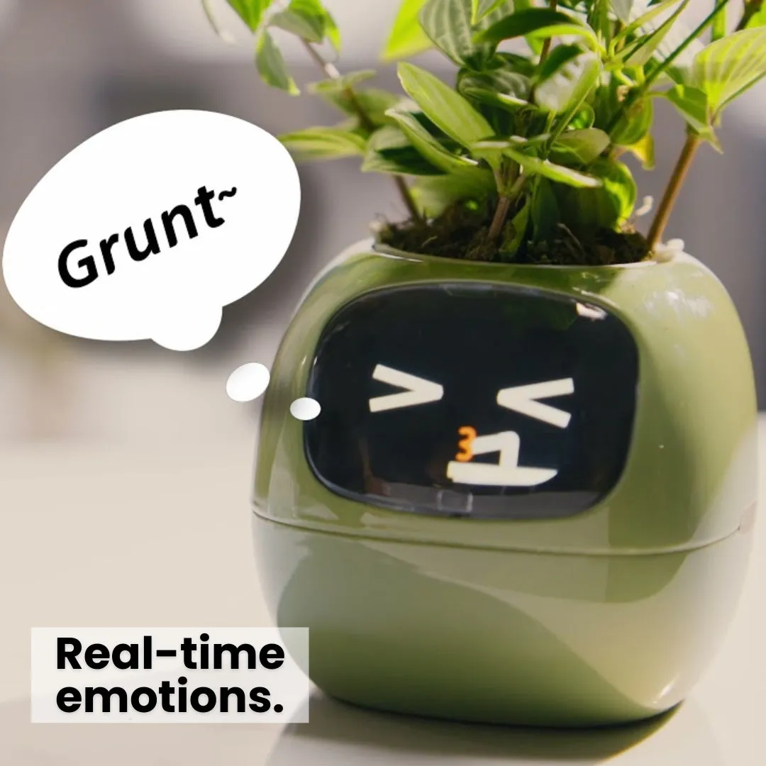 Ivy Smart Pet Planter