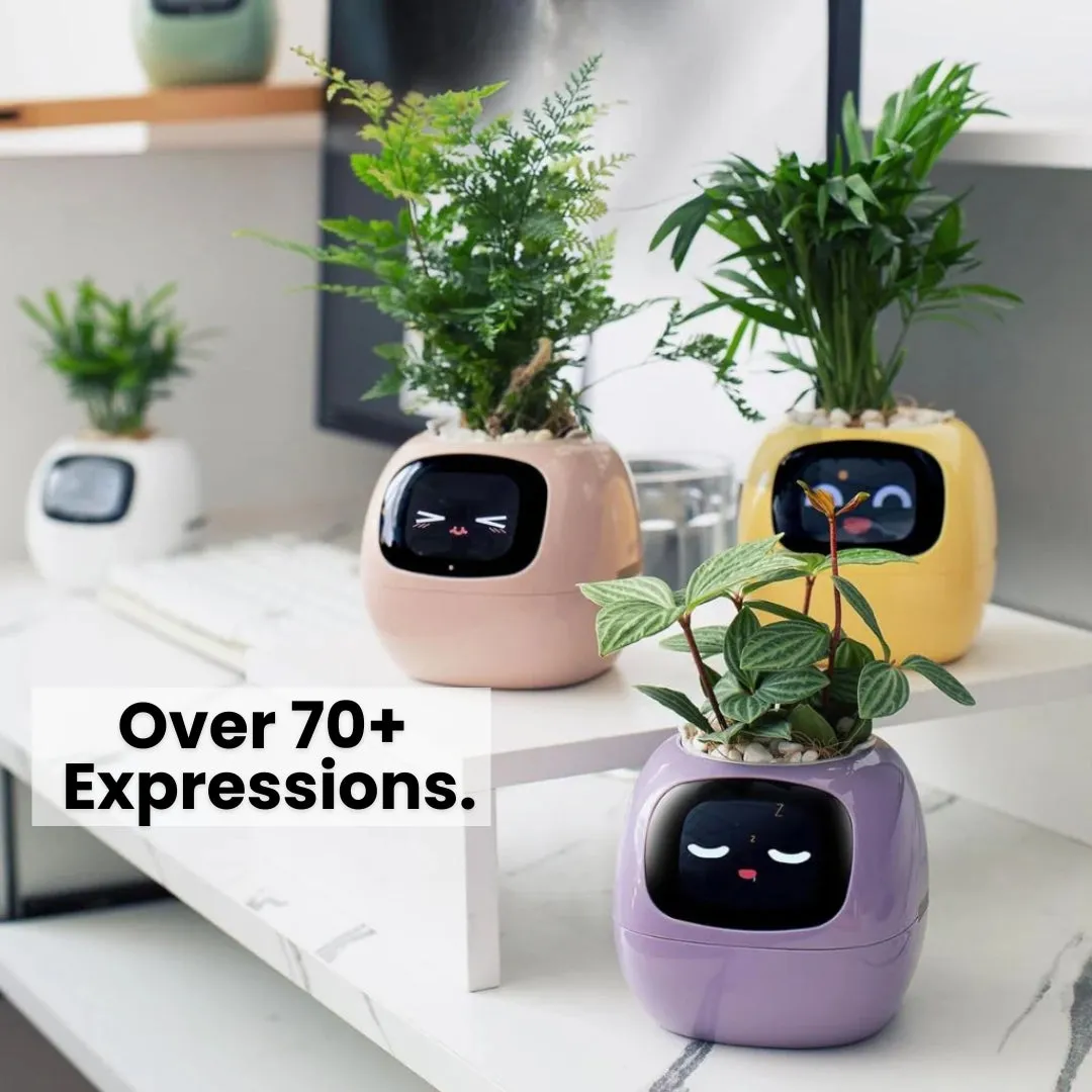 Ivy Smart Pet Planter