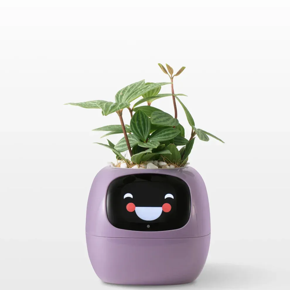Ivy Smart Pet Planter