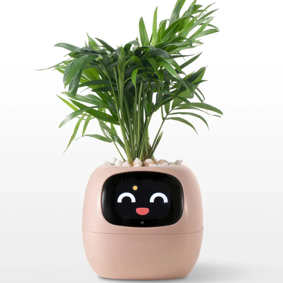 Ivy Smart Pet Planter